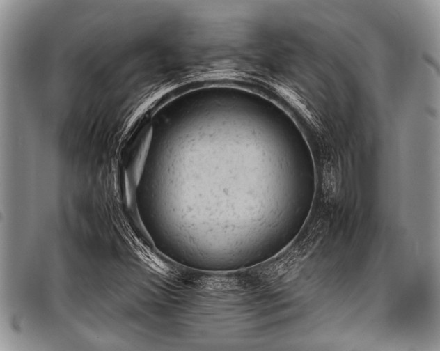 X0000098161356200804171548
