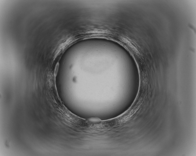 X0000098161357200804171548