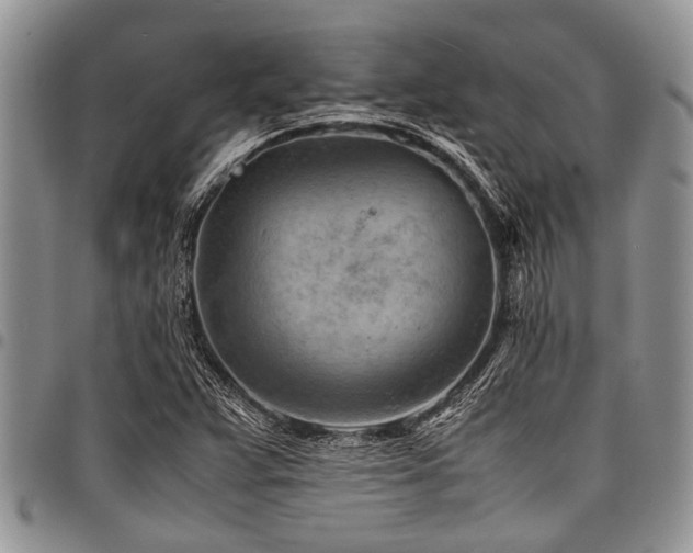 X0000098161359200804171548