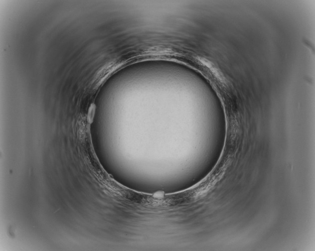 X0000098161361200804171548