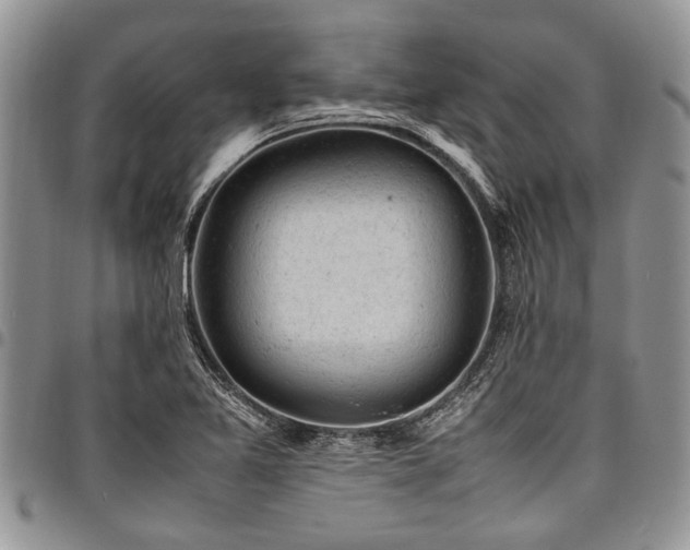 X0000098161365200804171548