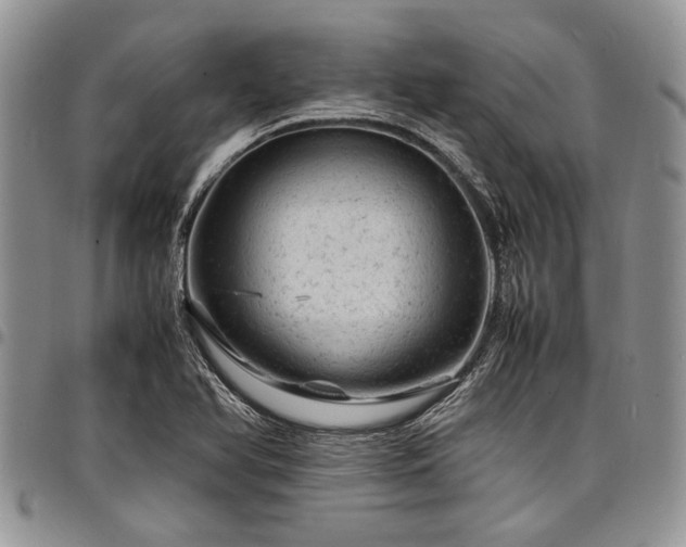 X0000098161366200804171548