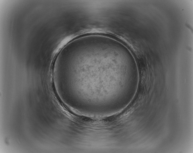 X0000098161367200804171548