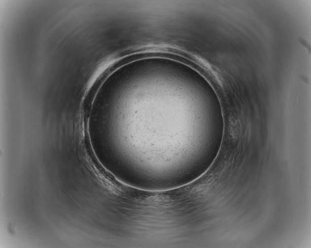 X0000098161368200804171548