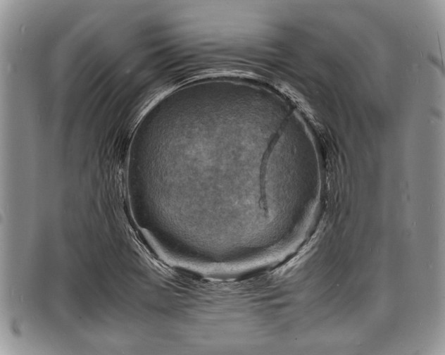 X0000098161369200804171548