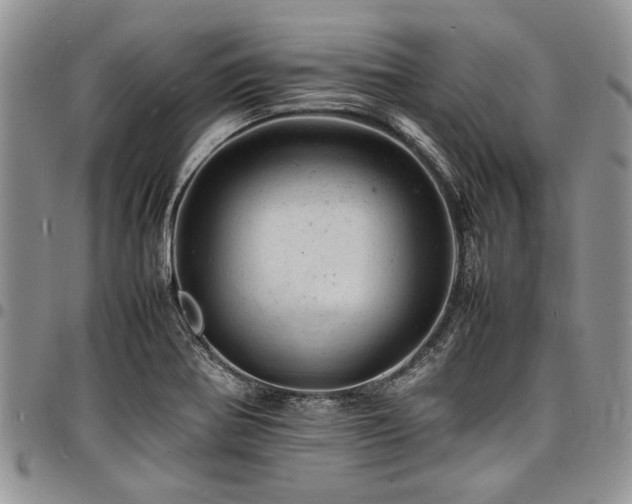X0000098161370200804171548