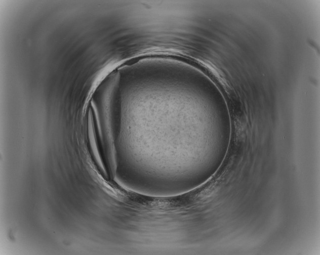 X0000098161371200804171548