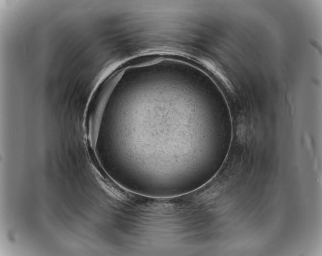 X0000098161372200804171548