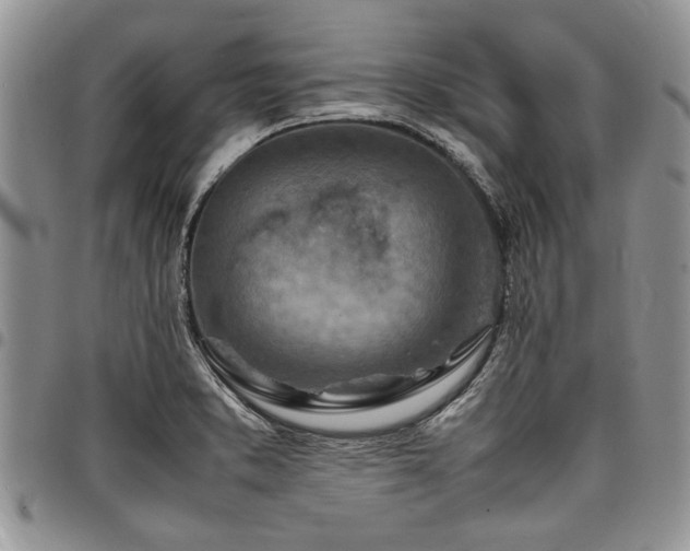 X0000098161373200804171548