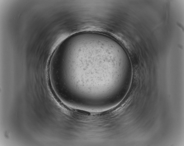X0000098161375200804171548