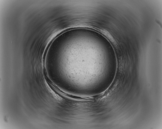 X0000098161380200804171548