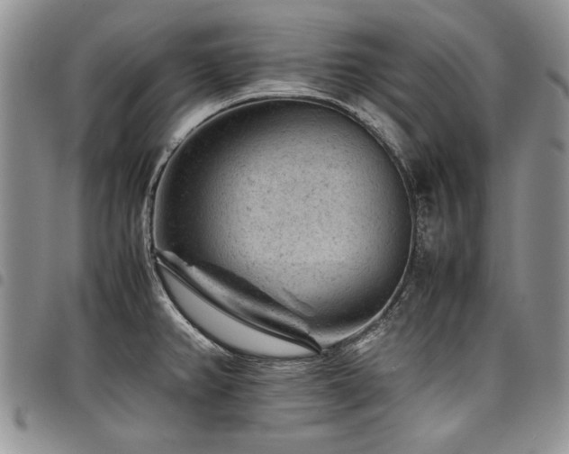 X0000098161382200804171548