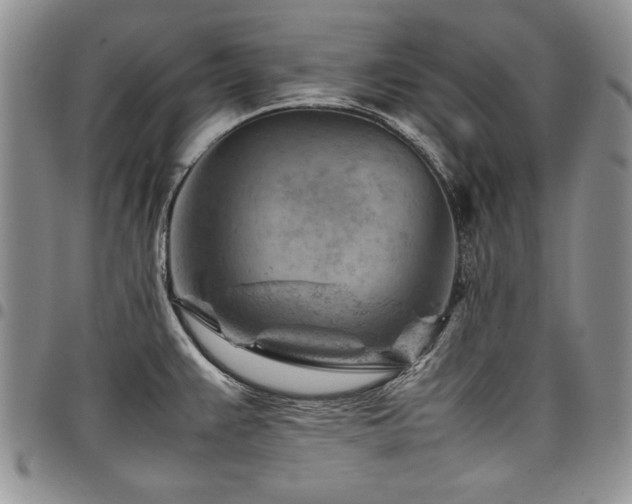 X0000098161383200804171548