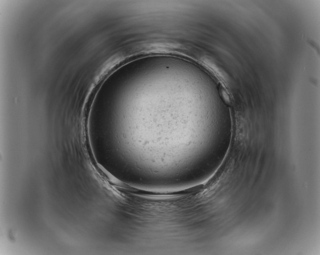 X0000098161384200804171548