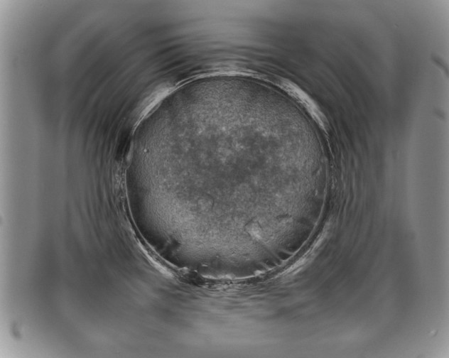 X0000098161385200804171548
