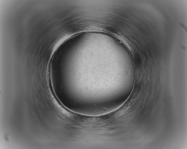 X0000098161387200804171548