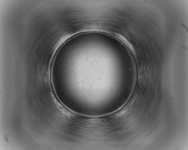 X0000098161388200804171548