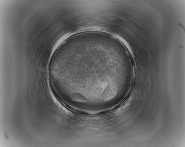 X0000098161389200804171548