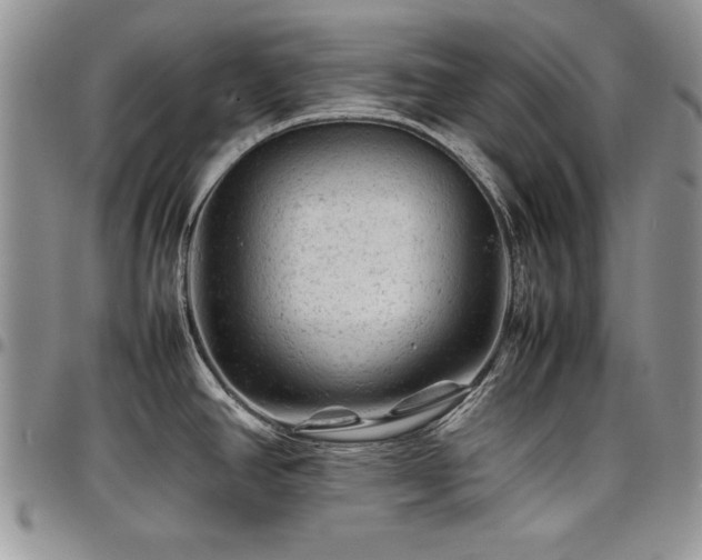 X0000098161390200804171548
