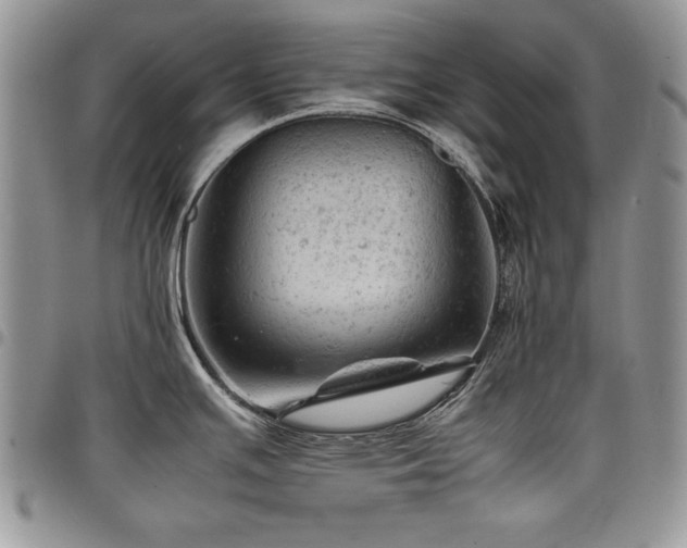 X0000098161391200804171548