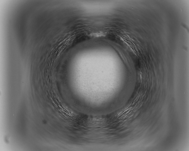 X0000098161393200804171547