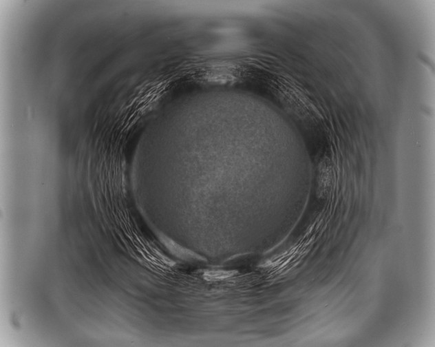 X0000098161394200804171547
