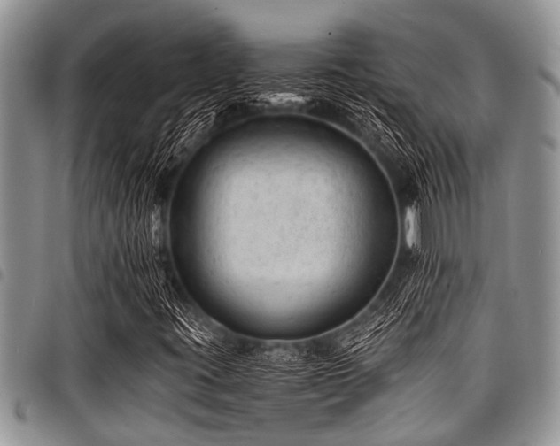 X0000098161395200804171547
