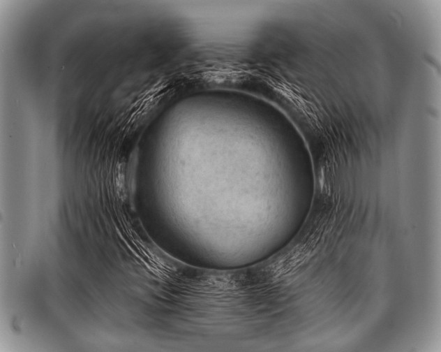 X0000098161396200804171547