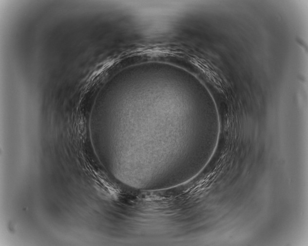 X0000098161398200804171547