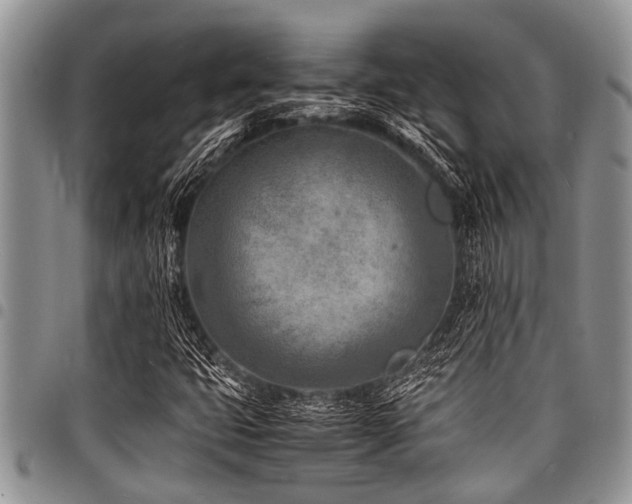 X0000098161399200804171547