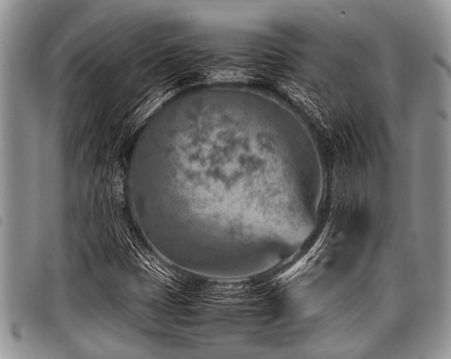 X0000098161401200804171547