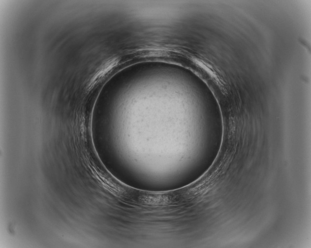 X0000098161403200804171547