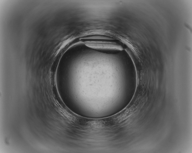 X0000098161404200804171547