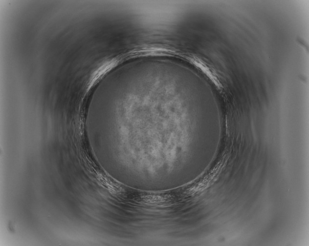 X0000098161405200804171547