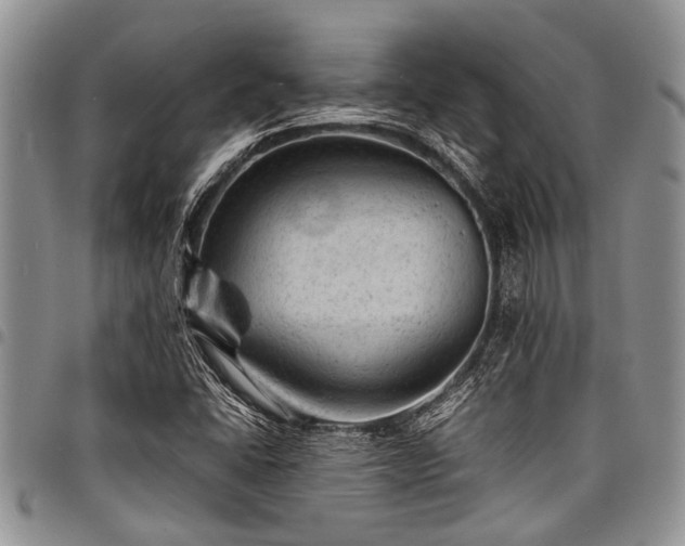 X0000098161406200804171547