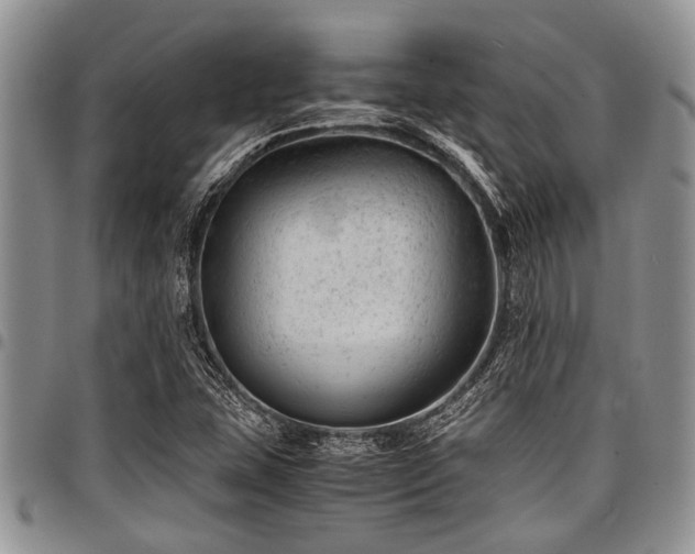 X0000098161407200804171547