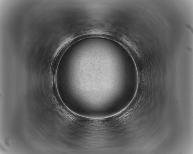 X0000098161408200804171547