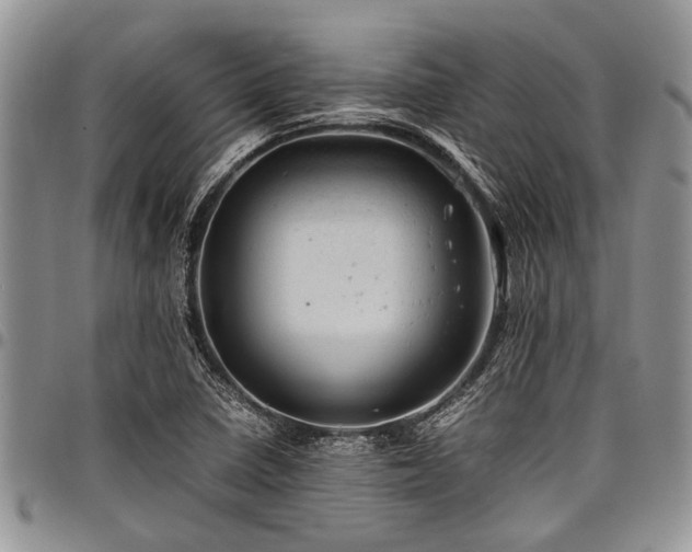 X0000098161410200804171547