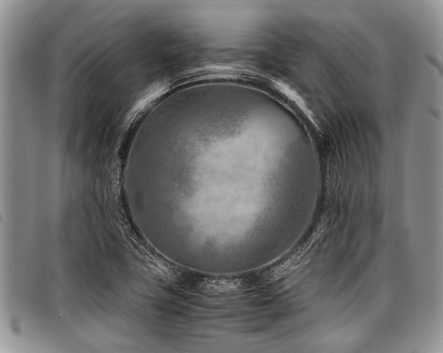 X0000098161411200804171547