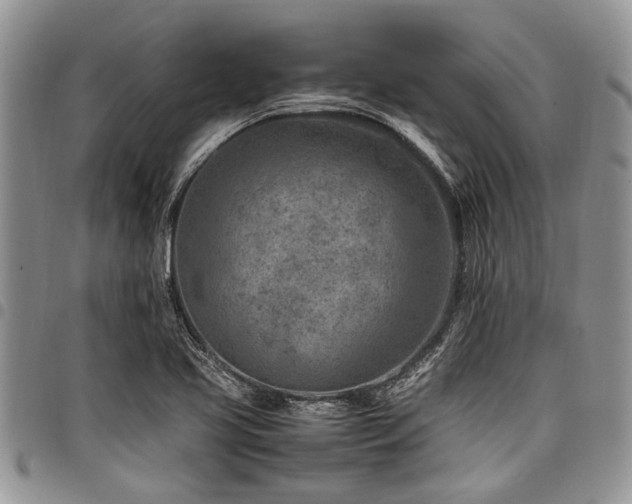 X0000098161413200804171547