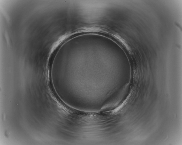 X0000098161414200804171547
