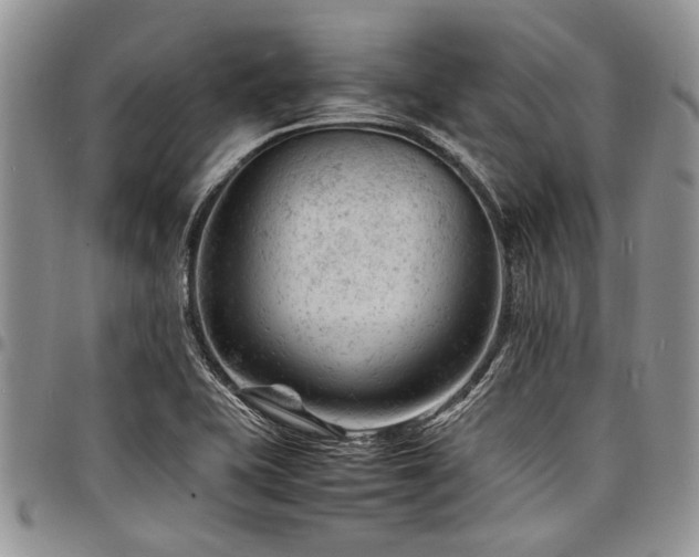 X0000098161415200804171547