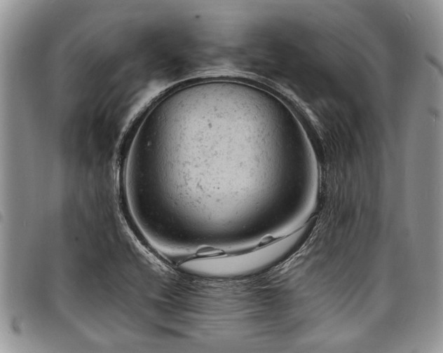 X0000098161416200804171547
