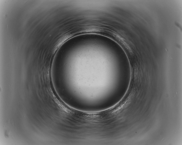 X0000098161417200804171548