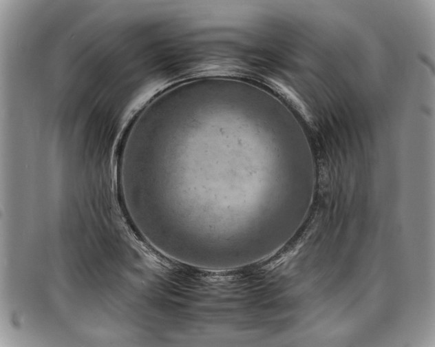 X0000098161419200804171548