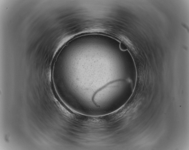 X0000098161420200804171548