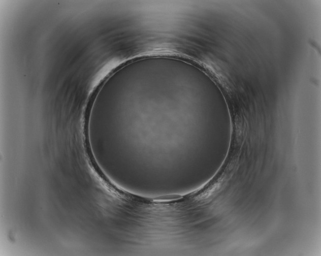 X0000098161422200804171548