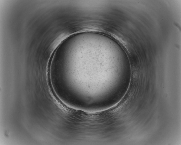 X0000098161423200804171548