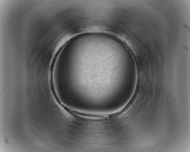 X0000098161424200804171548