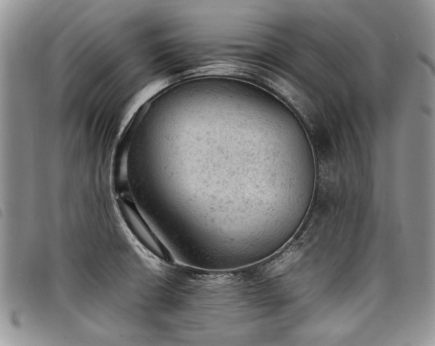 X0000098161426200804171548
